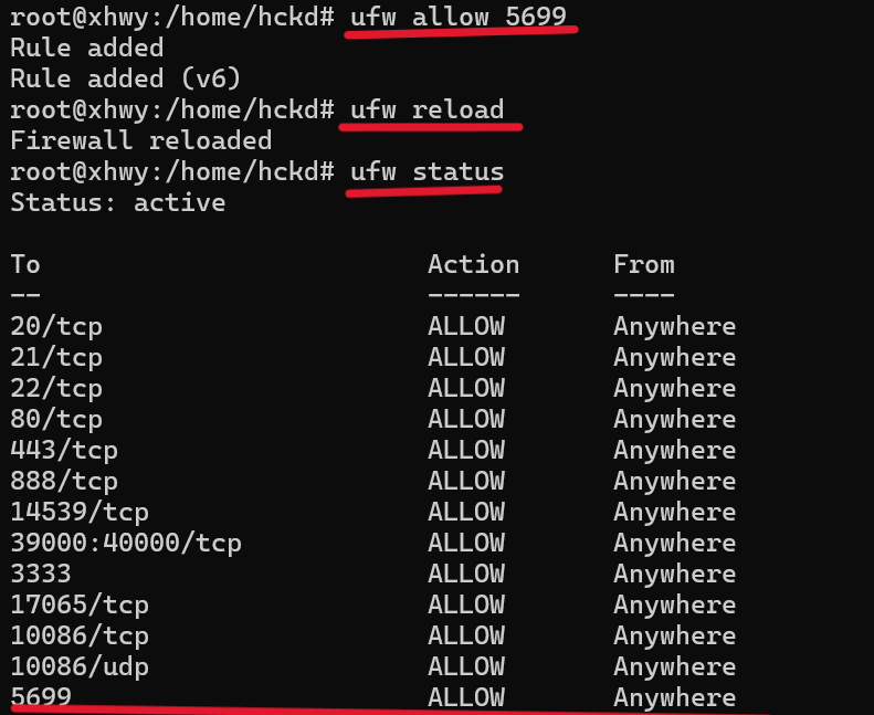 输入命令后会看见一个5699的端口号即可